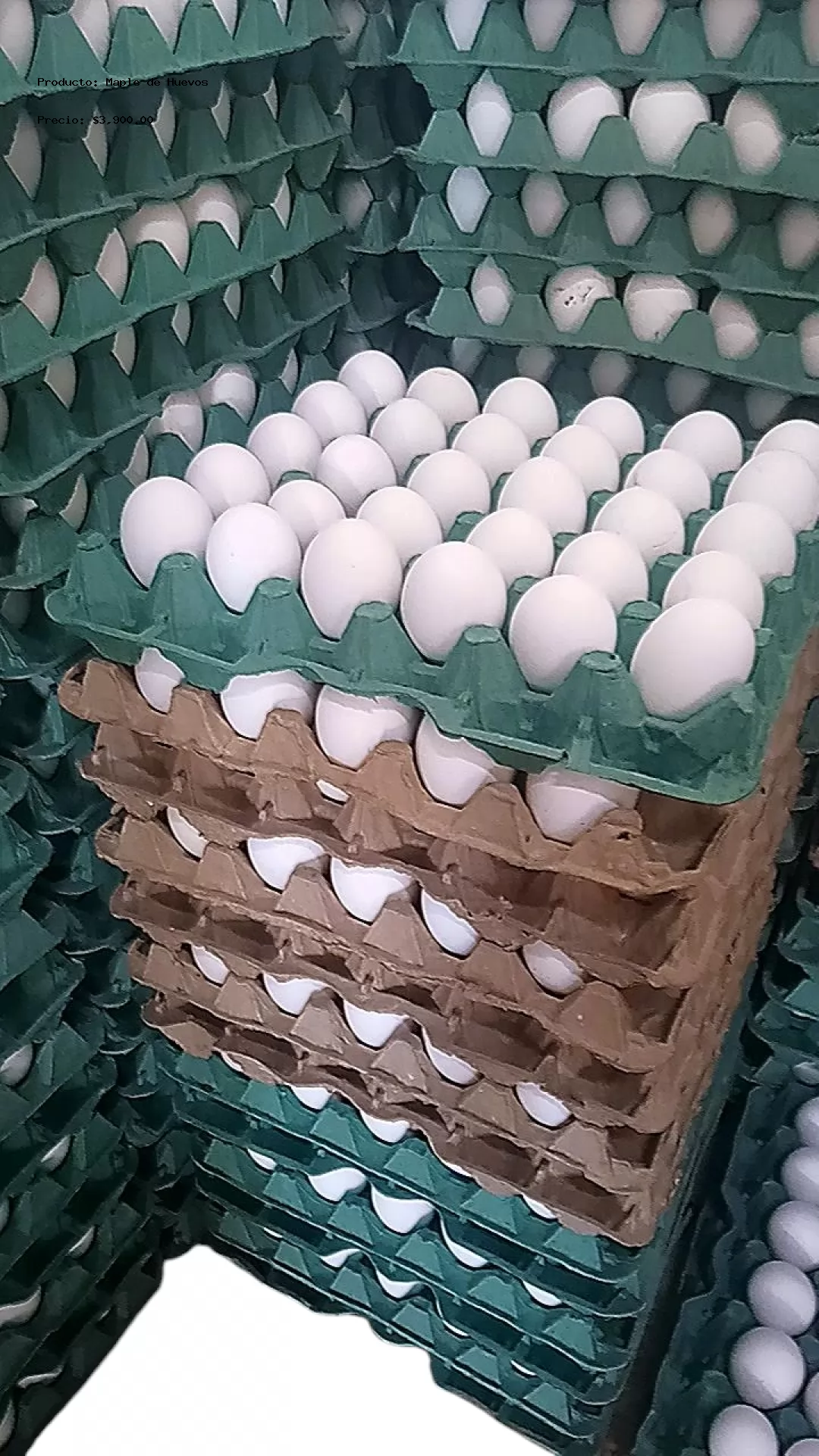 Imagen de Maple de Huevos